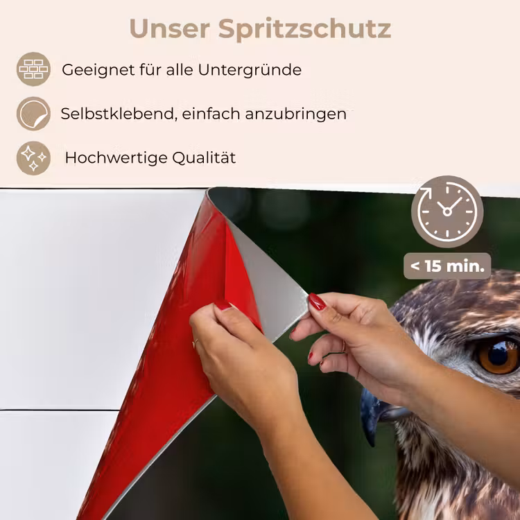 Buizerd - Roofvogel - Natuur - Bruin keuken achterwand spatscherm klein -spatscherm_DE