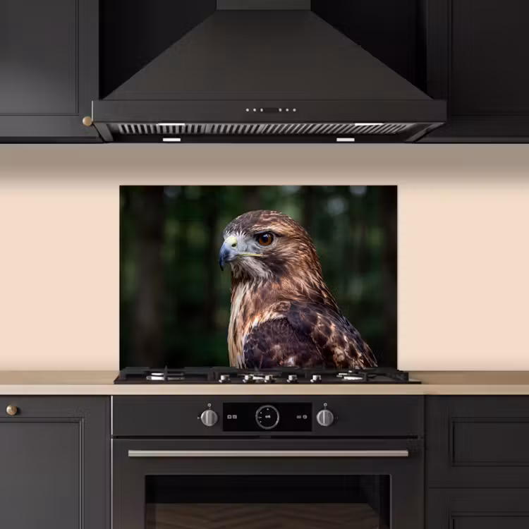 Buizerd - Roofvogel - Natuur - Bruin keuken achterwand spatscherm klein -sfeer1