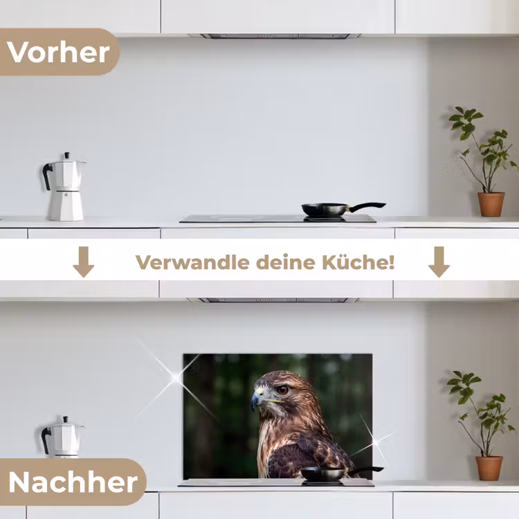 Buizerd - Roofvogel - Natuur - Bruin keuken achterwand spatscherm klein -voor_na_DE