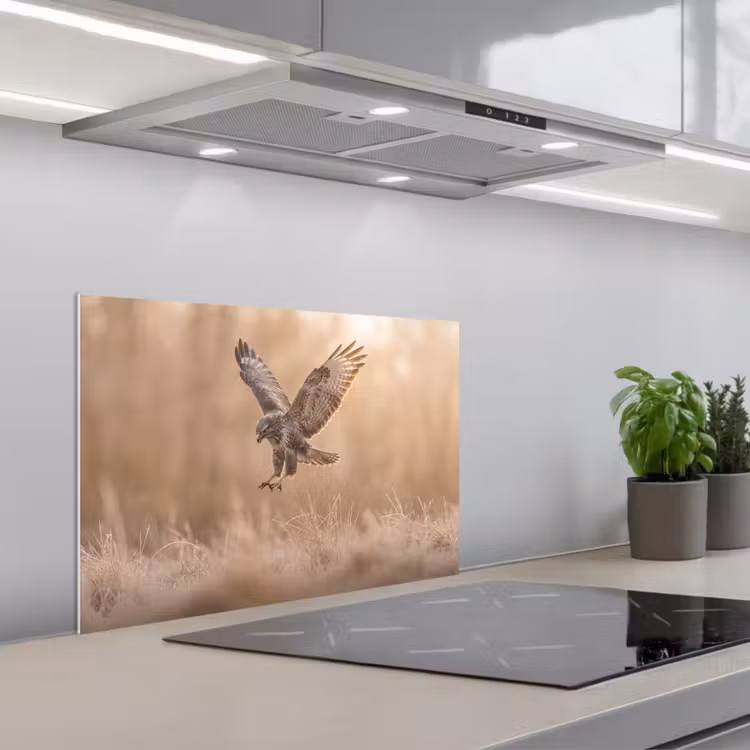 Buizerd - Roofvogel - Natuur - Bruin keuken achterwand spatscherm klein -3d_schuin