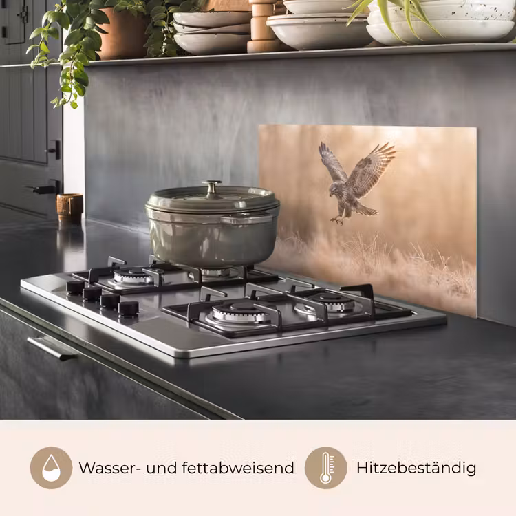 Buizerd - Roofvogel - Natuur - Bruin keuken achterwand spatscherm klein -usp_DE