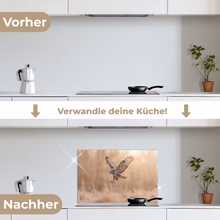Buizerd - Roofvogel - Natuur - Bruin keuken achterwand spatscherm klein -voor_na_DE