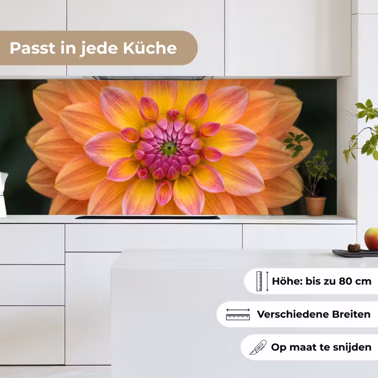 Dahlia - Bloem - Oranje keuken achterwand 2 middel -sfeer4_DE