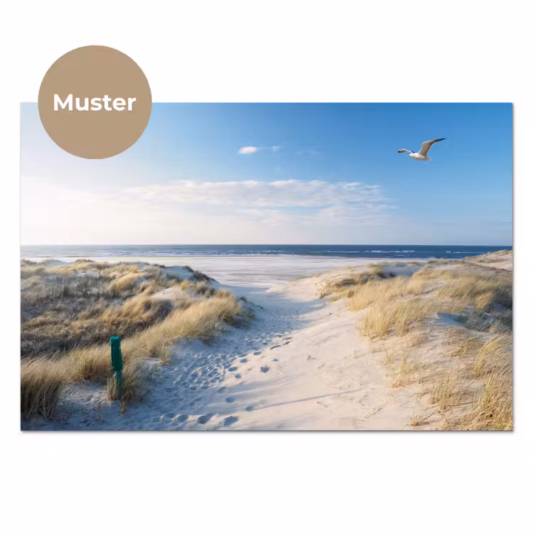 Duin - Meeuw - Strand - Zee - Zon keuken achterwand sample klein -3d_DE