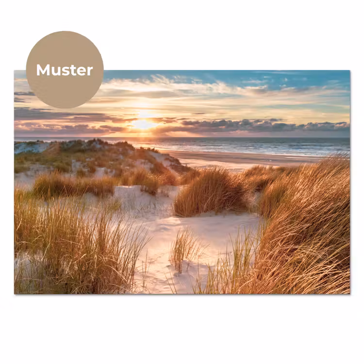 Duin - Planten - Zonsondergang - Strand - Zee keuken achterwand sample klein -3d_DE