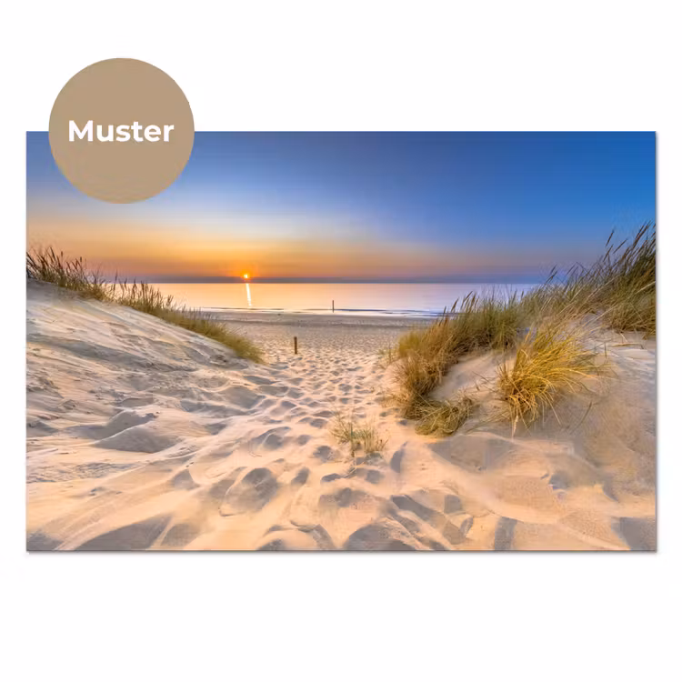 Duin - Zonsondergang - Horizon - Strand - Gras keuken achterwand sample klein -3d_DE