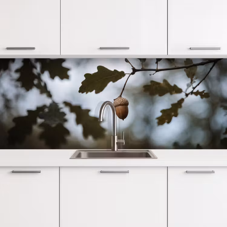 Eikel - Eikenblad - Bos - Herfst - Natuur keuken achterwand 2 middel -3d
