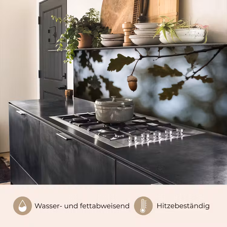 Eikel - Eikenblad - Bos - Herfst - Natuur keuken achterwand 2 middel -usp_DE