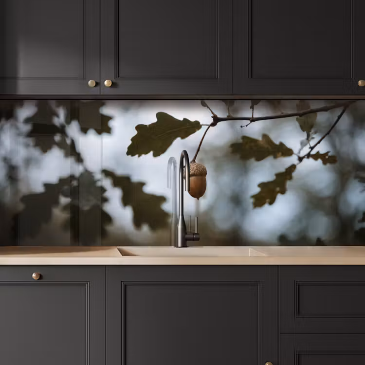 Eikel - Eikenblad - Bos - Herfst - Natuur keuken achterwand 2 middel -sfeer1