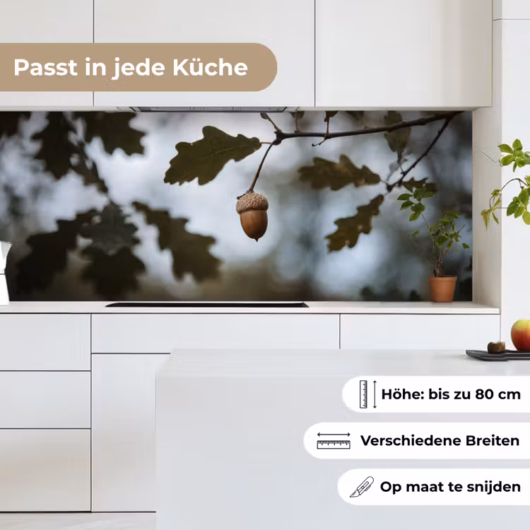 Eikel - Eikenblad - Bos - Herfst - Natuur keuken achterwand 2 middel -sfeer4_DE