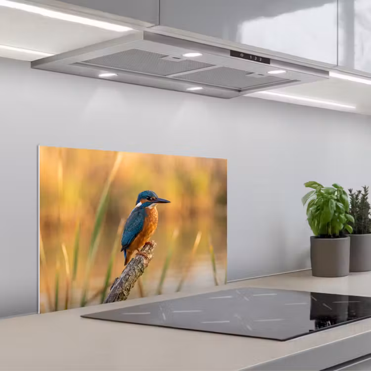IJsvogel - Tak - Water - Kleurrijk - Levendig keuken achterwand spatscherm klein -3d_schuin