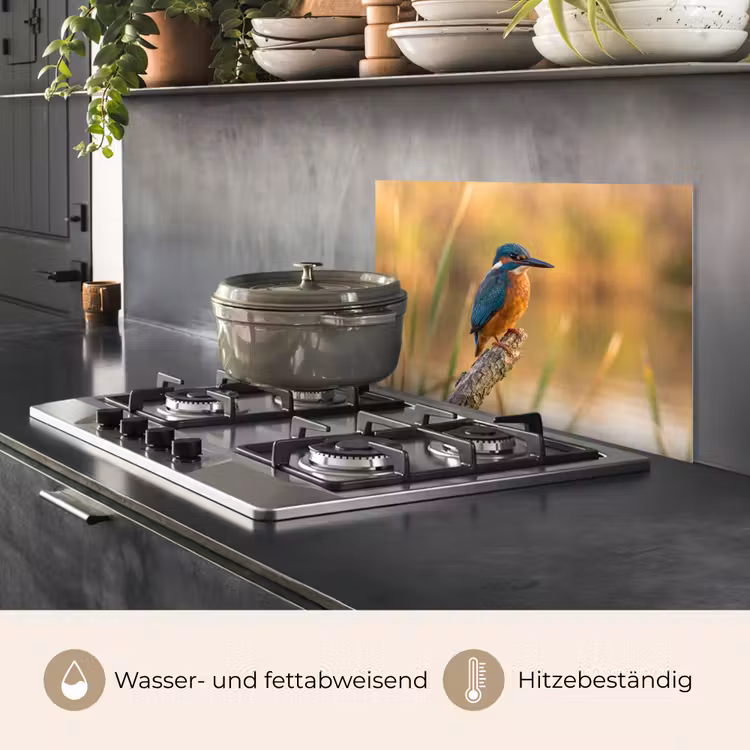 IJsvogel - Tak - Water - Kleurrijk - Levendig keuken achterwand spatscherm klein -usp_DE