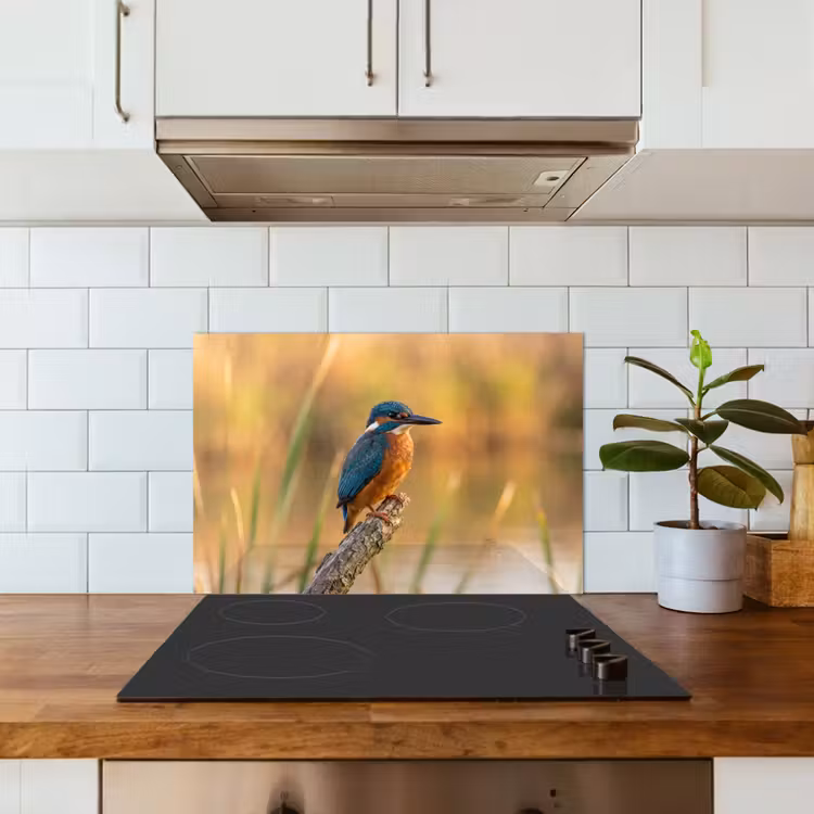 IJsvogel - Tak - Water - Kleurrijk - Levendig keuken achterwand spatscherm klein -sfeer2