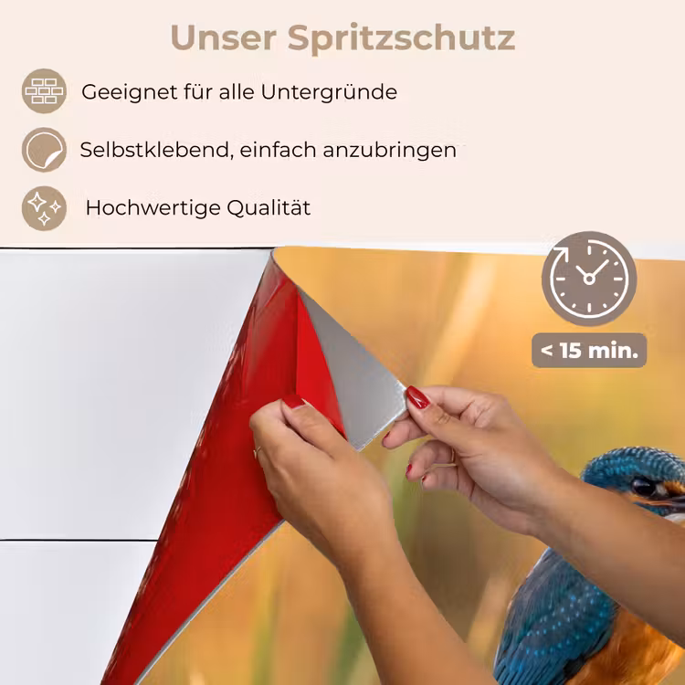 IJsvogel - Tak - Water - Kleurrijk - Levendig keuken achterwand spatscherm klein -spatscherm_DE