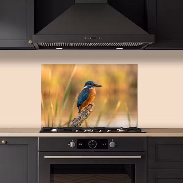 IJsvogel - Tak - Water - Kleurrijk - Levendig keuken achterwand spatscherm klein -sfeer1