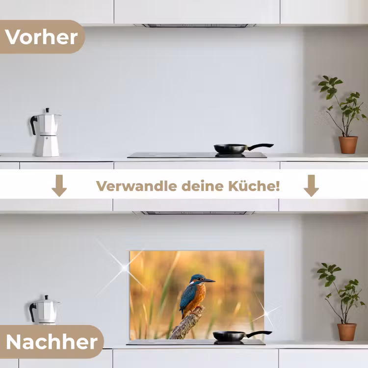 IJsvogel - Tak - Water - Kleurrijk - Levendig keuken achterwand spatscherm klein -voor_na_DE