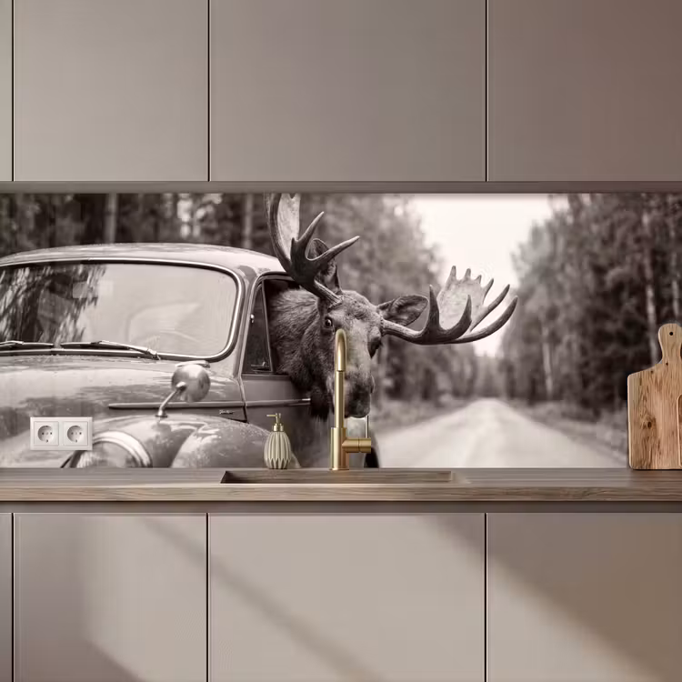 Eland - Auto - Gewei - Zwart - Wit keuken achterwand 2 middel zz_3dshopping