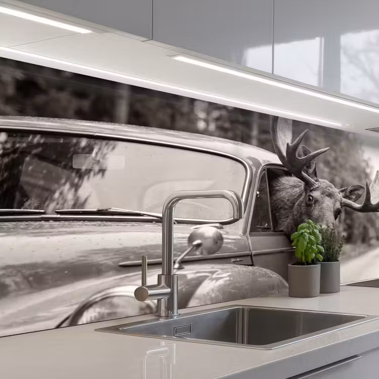 Eland - Auto - Gewei - Zwart - Wit keuken achterwand 2 middel -3d_schuin