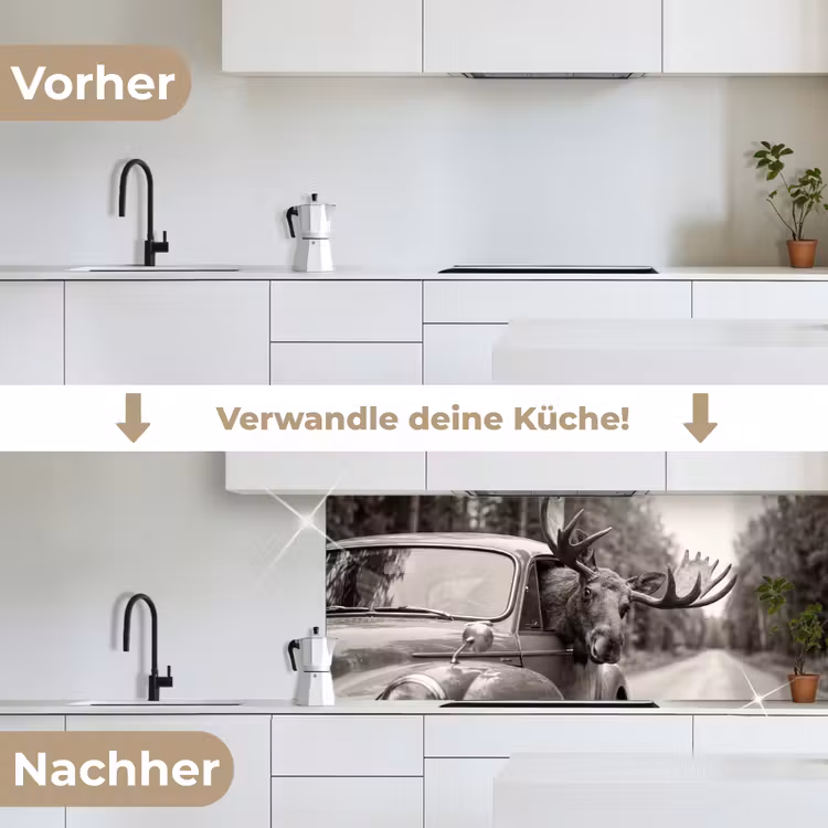Eland - Auto - Gewei - Zwart - Wit keuken achterwand 2 middel -voor-na_DE