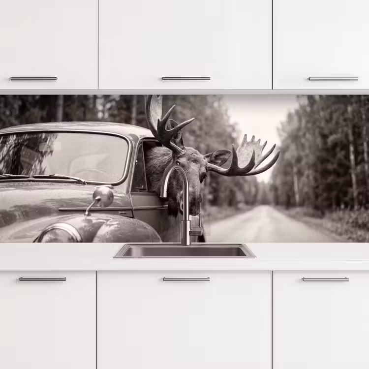Eland - Auto - Gewei - Zwart - Wit keuken achterwand 2 middel -3d
