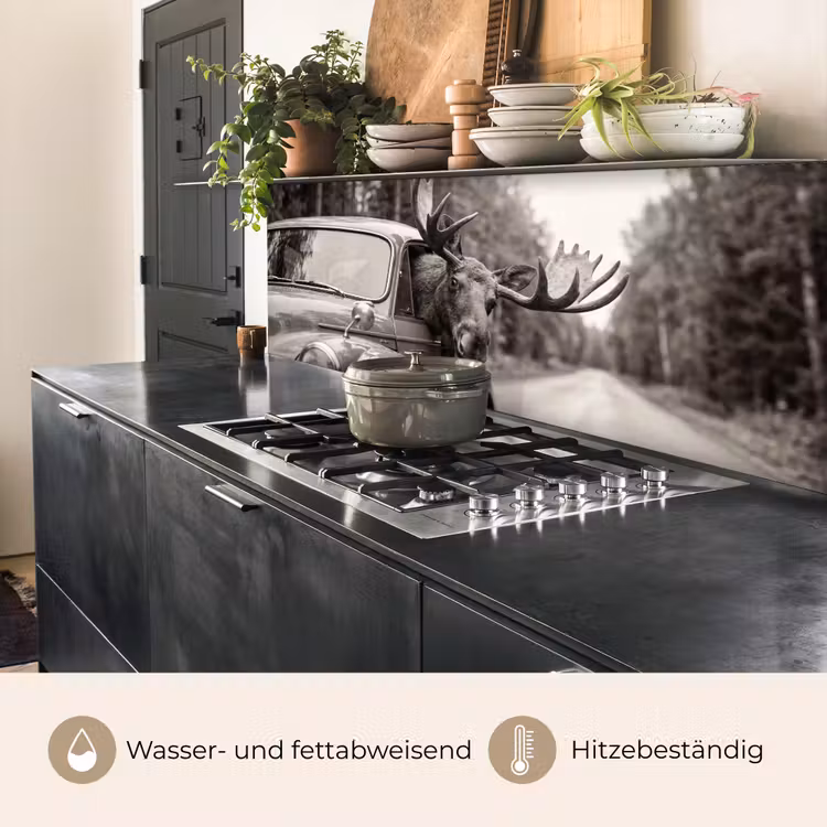 Eland - Auto - Gewei - Zwart - Wit keuken achterwand 2 middel -usp_DE