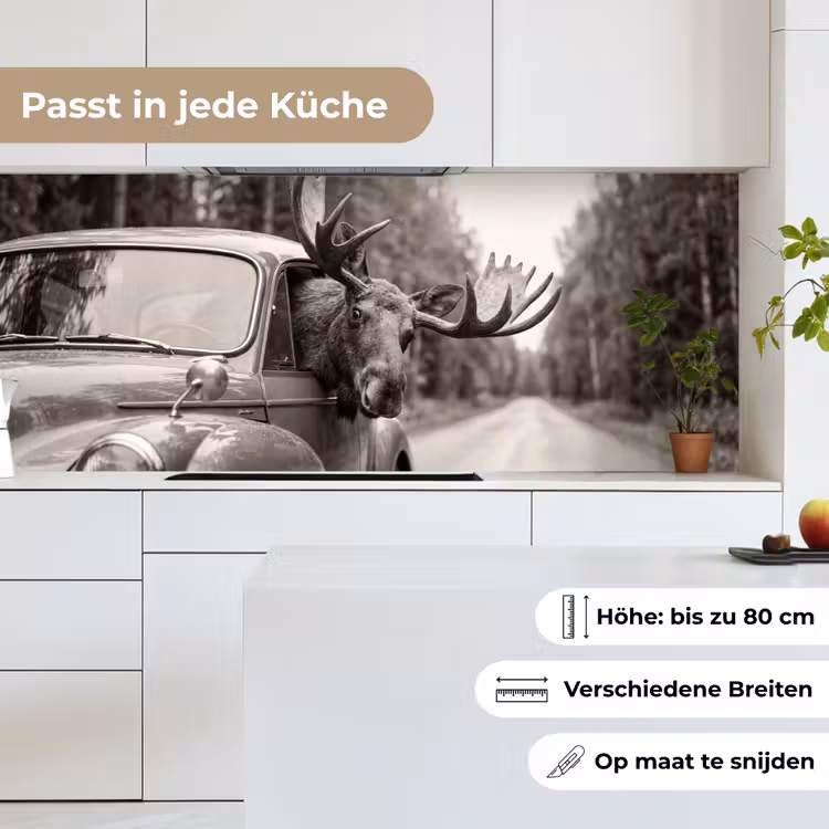 Eland - Auto - Gewei - Zwart - Wit keuken achterwand 2 middel -sfeer4_DE