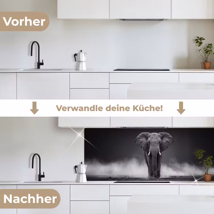 Olifant - Zwart - Wit - Rook keuken achterwand 2 middel -voor-na_DE