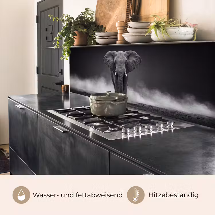 Olifant - Zwart - Wit - Rook keuken achterwand 2 middel -usp_DE