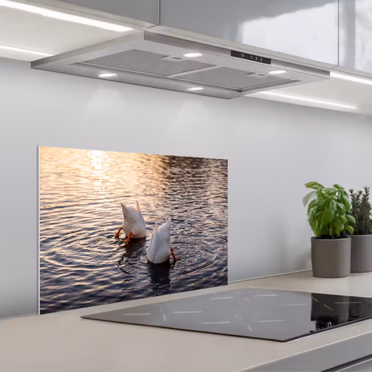 Eenden - Water - Natuur keuken achterwand spatscherm klein -3d_schuin