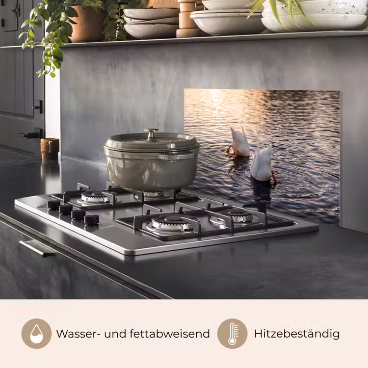 Eenden - Water - Natuur keuken achterwand spatscherm klein -usp_DE