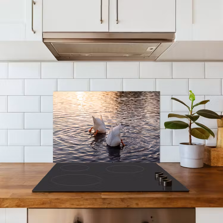 Eenden - Water - Natuur keuken achterwand spatscherm klein -sfeer2