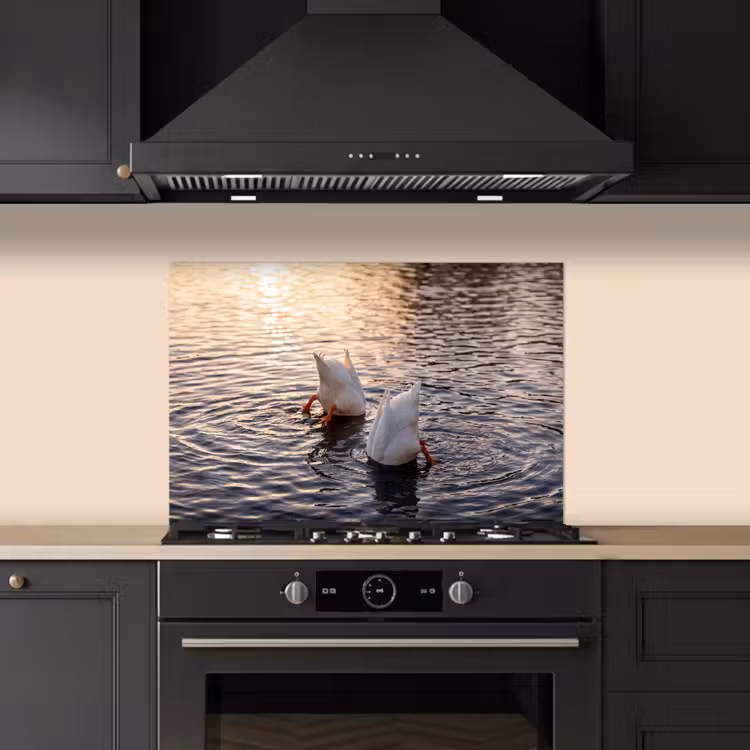 Eenden - Water - Natuur keuken achterwand spatscherm klein -sfeer1
