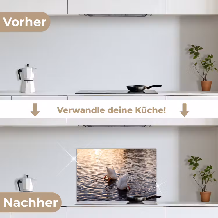 Eenden - Water - Natuur keuken achterwand spatscherm klein -voor_na_DE