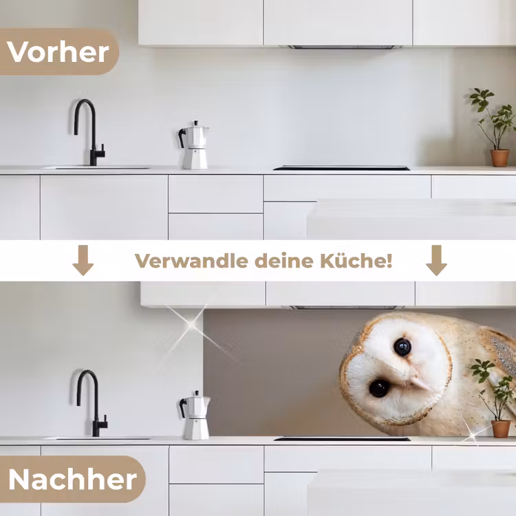 Uil - Bruin - Wit keuken achterwand 2 middel -voor-na_DE
