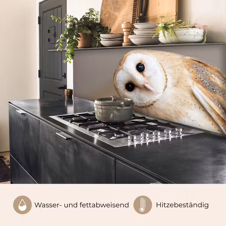 Uil - Bruin - Wit keuken achterwand 2 middel -usp_DE
