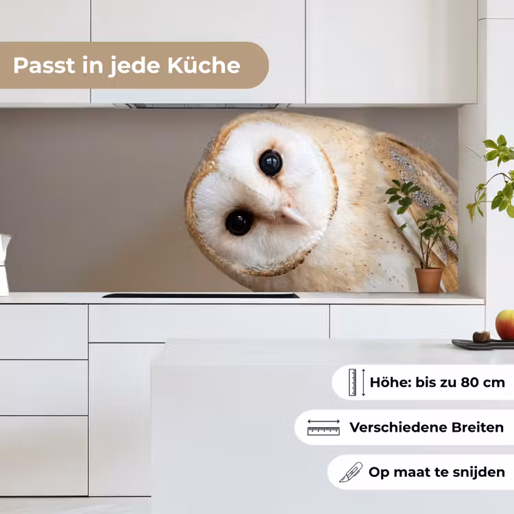 Uil - Bruin - Wit keuken achterwand 2 middel -sfeer4_DE