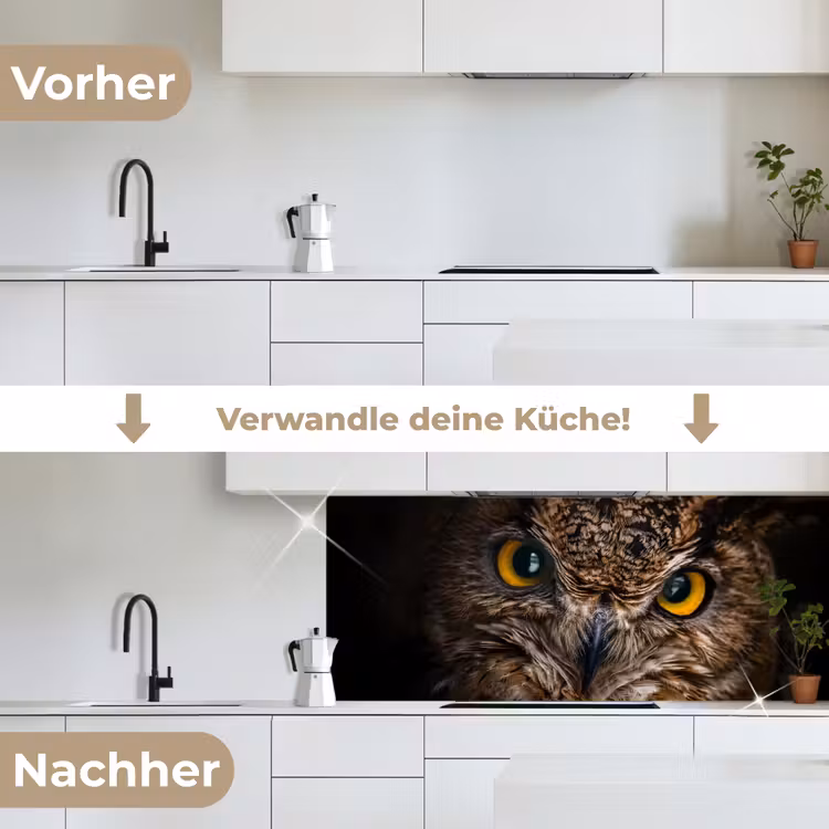 Uil - Dier - Oranje keuken achterwand 2 middel -voor-na_DE