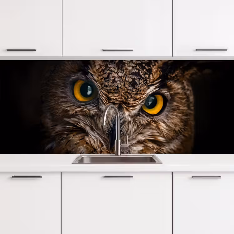 Uil - Dier - Oranje keuken achterwand 2 middel -3d