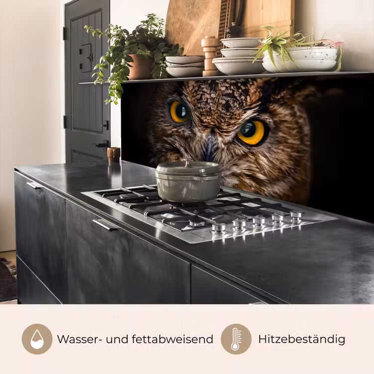 Uil - Dier - Oranje keuken achterwand 2 middel -usp_DE