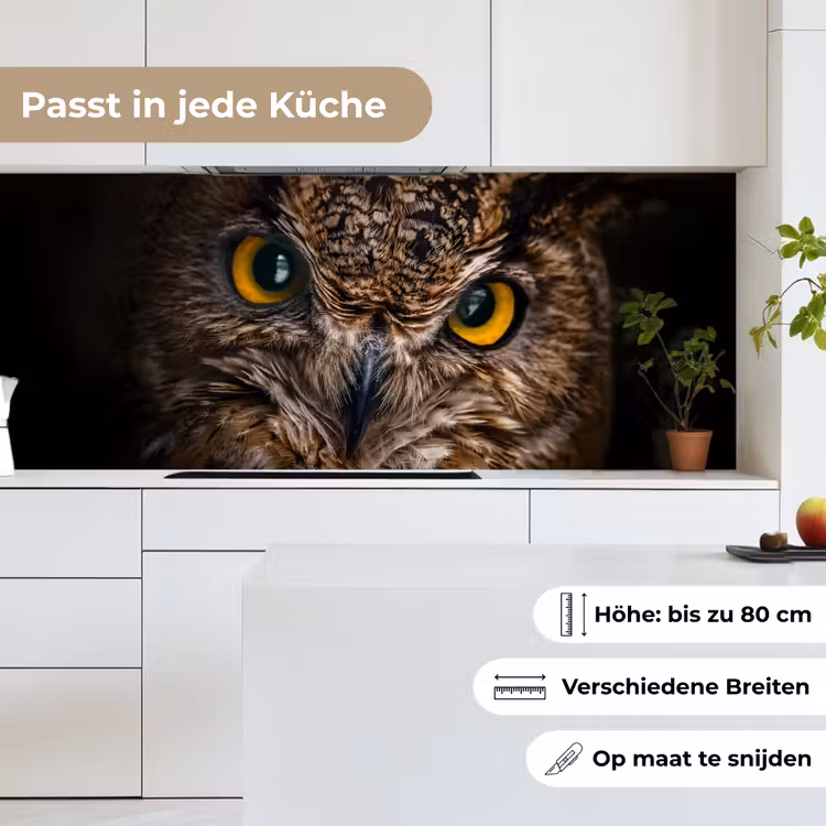 Uil - Dier - Oranje keuken achterwand 2 middel -sfeer4_DE