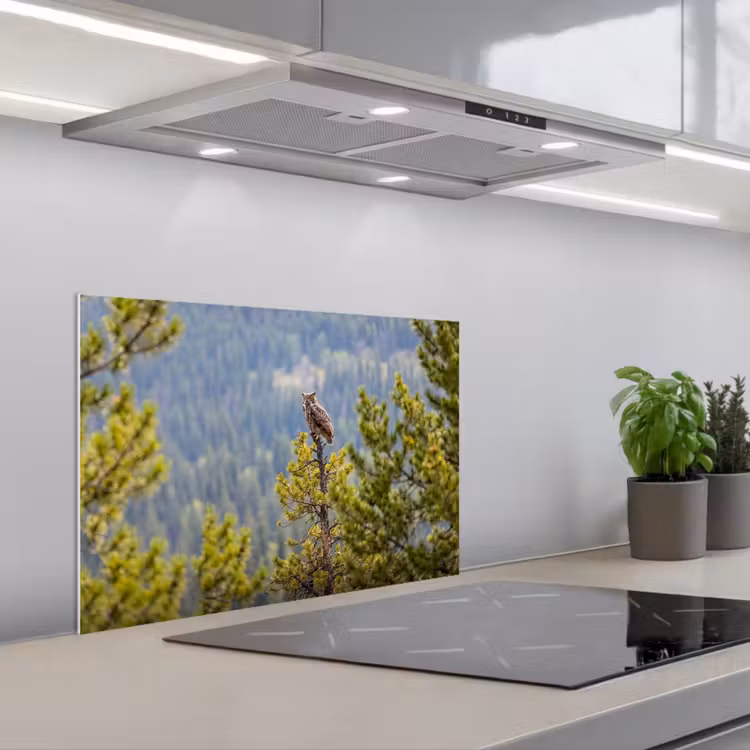 Uil - Oehoe - Bomen - Natuur keuken achterwand spatscherm klein -3d_schuin