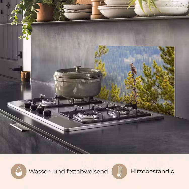 Uil - Oehoe - Bomen - Natuur keuken achterwand spatscherm klein -usp_DE