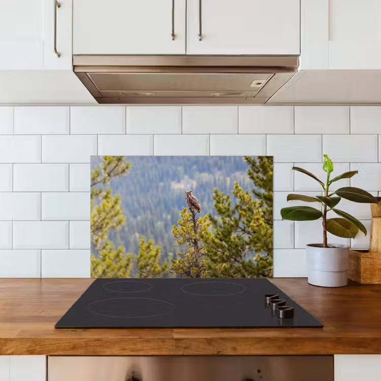 Uil - Oehoe - Bomen - Natuur keuken achterwand spatscherm klein -sfeer2