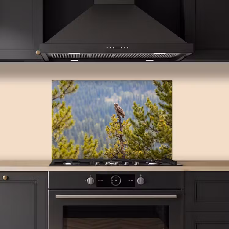 Uil - Oehoe - Bomen - Natuur keuken achterwand spatscherm klein -sfeer1