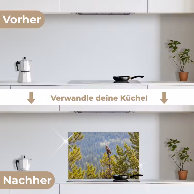 Uil - Oehoe - Bomen - Natuur keuken achterwand spatscherm klein -voor_na_DE