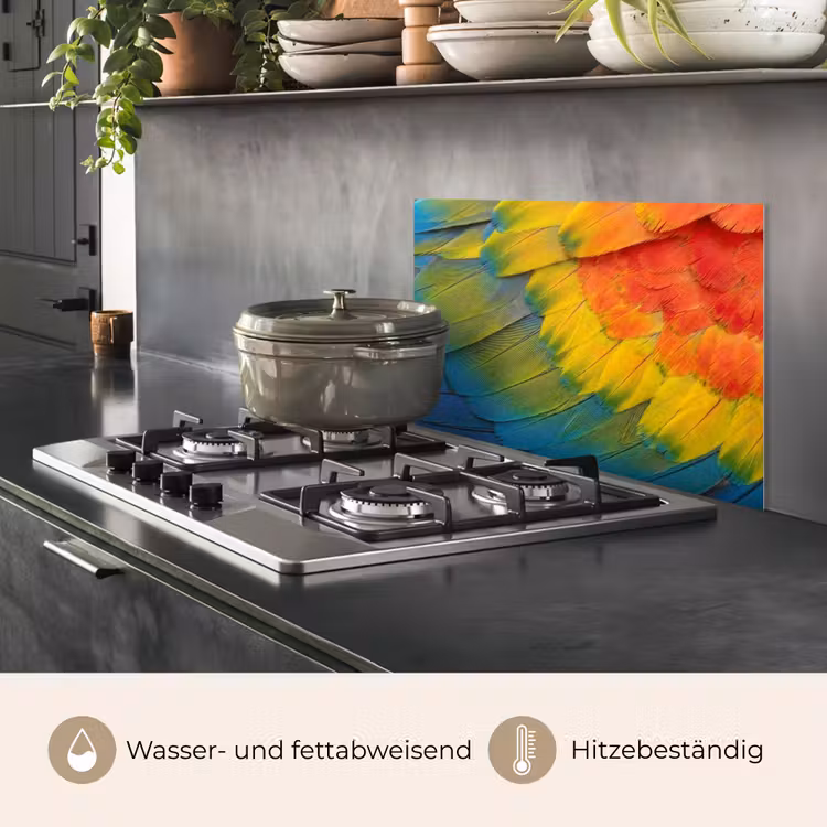 Veren - Ara - Kleurrijk keuken achterwand spatscherm klein -usp_DE