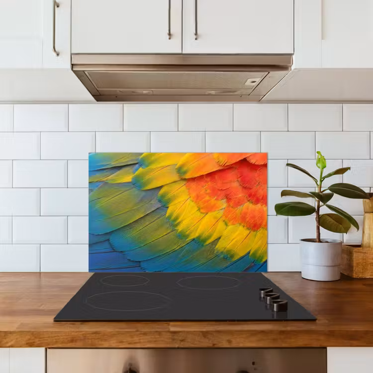 Veren - Ara - Kleurrijk keuken achterwand spatscherm klein -sfeer2