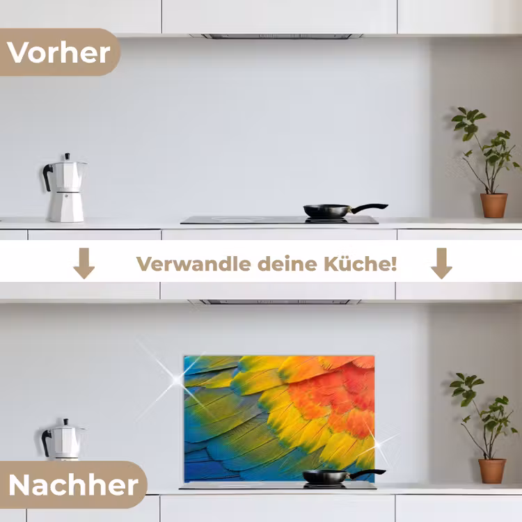Veren - Ara - Kleurrijk keuken achterwand spatscherm klein -voor_na_DE