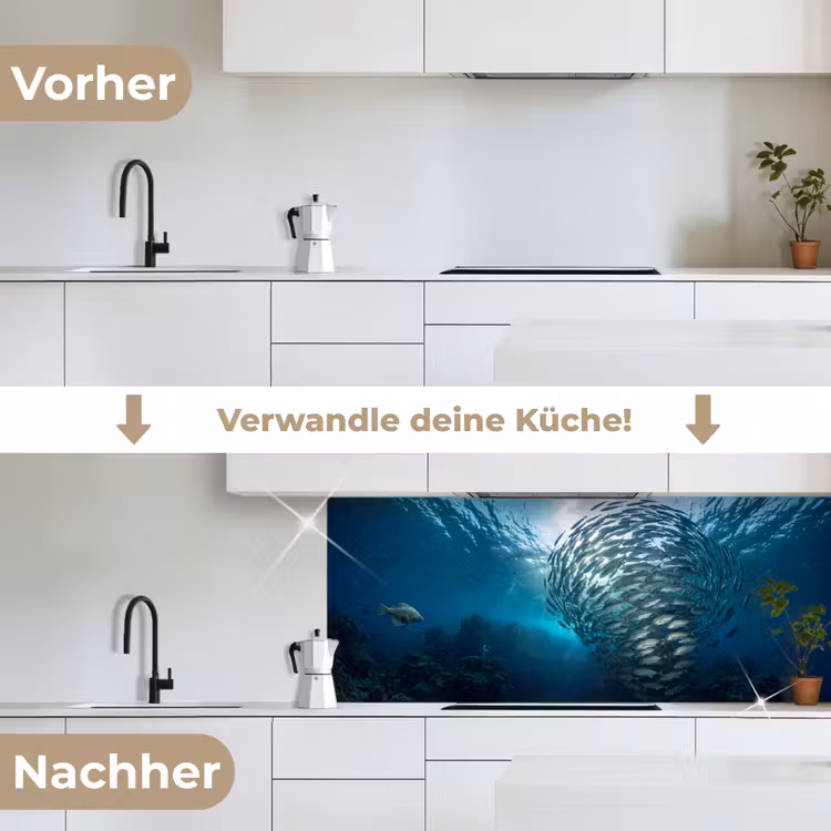 Vis - School - Oceaan - Natuur - Blauw keuken achterwand 2 middel -voor-na_DE