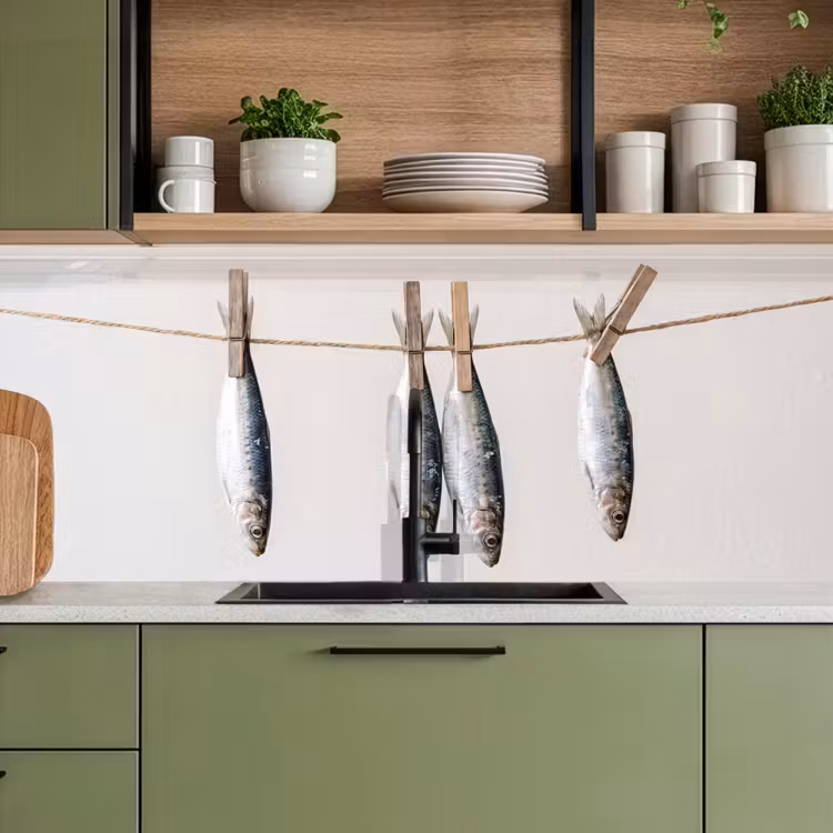 Küchenrückwand - Fisch – Hängend – Essen - Vis - Hangend - Eten keuken achterwand 2 middel